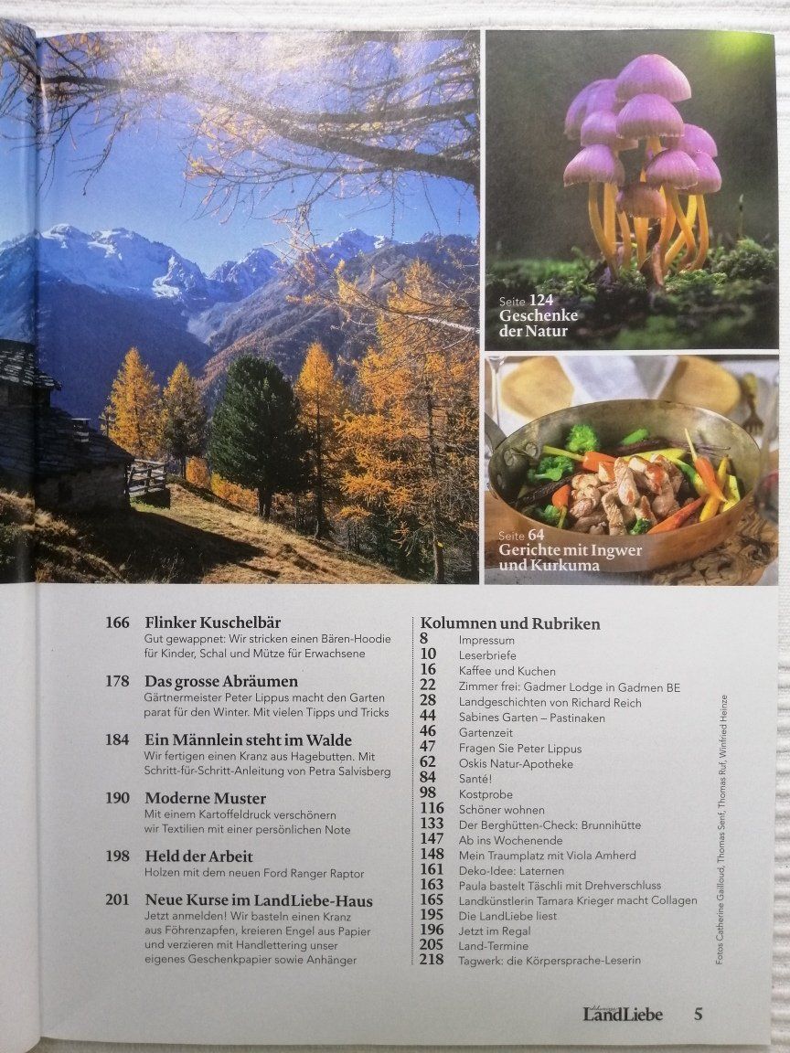Revues & Magazines: Landliebe Herbst 2020 – D'occasion à Langenthal par Handstrick 2
