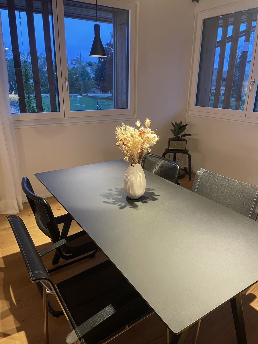 Tavoli: Designeresstisch – Usato da Seuzach venduto da ine_9lm6 2