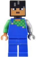 LEGO Minecraft min172 Sunny