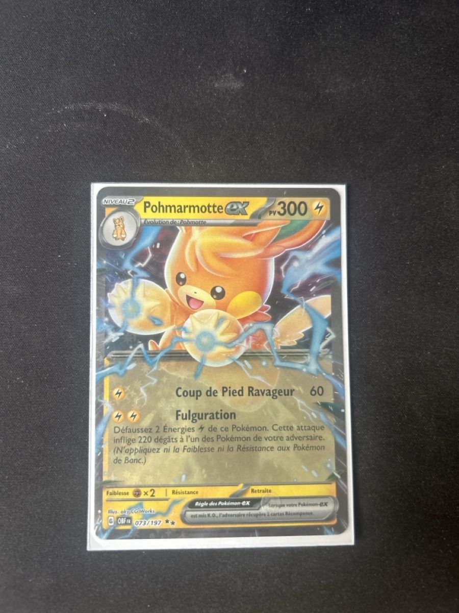 Pokémon Cartes à collectionner: Pohmarmotte ex – Neuf (Voir description) à Martigny par cra_bky9