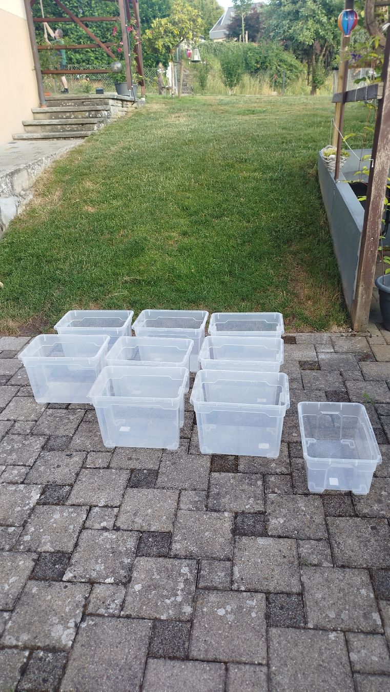 Recipients et similaires: 8 Plastikboxen, Kunststoff Boxen – D'occasion à Glashütten par lightmoon 1