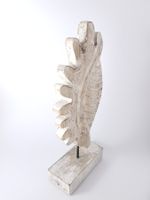 Muschel Braun Holz