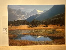 AK von Im Hochmoor bei Meiringen