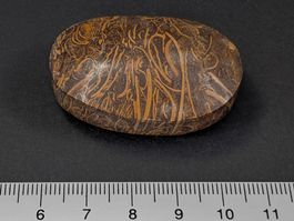 Schlangenjaspis/Snake Jaspis 44mm  35 Gramm