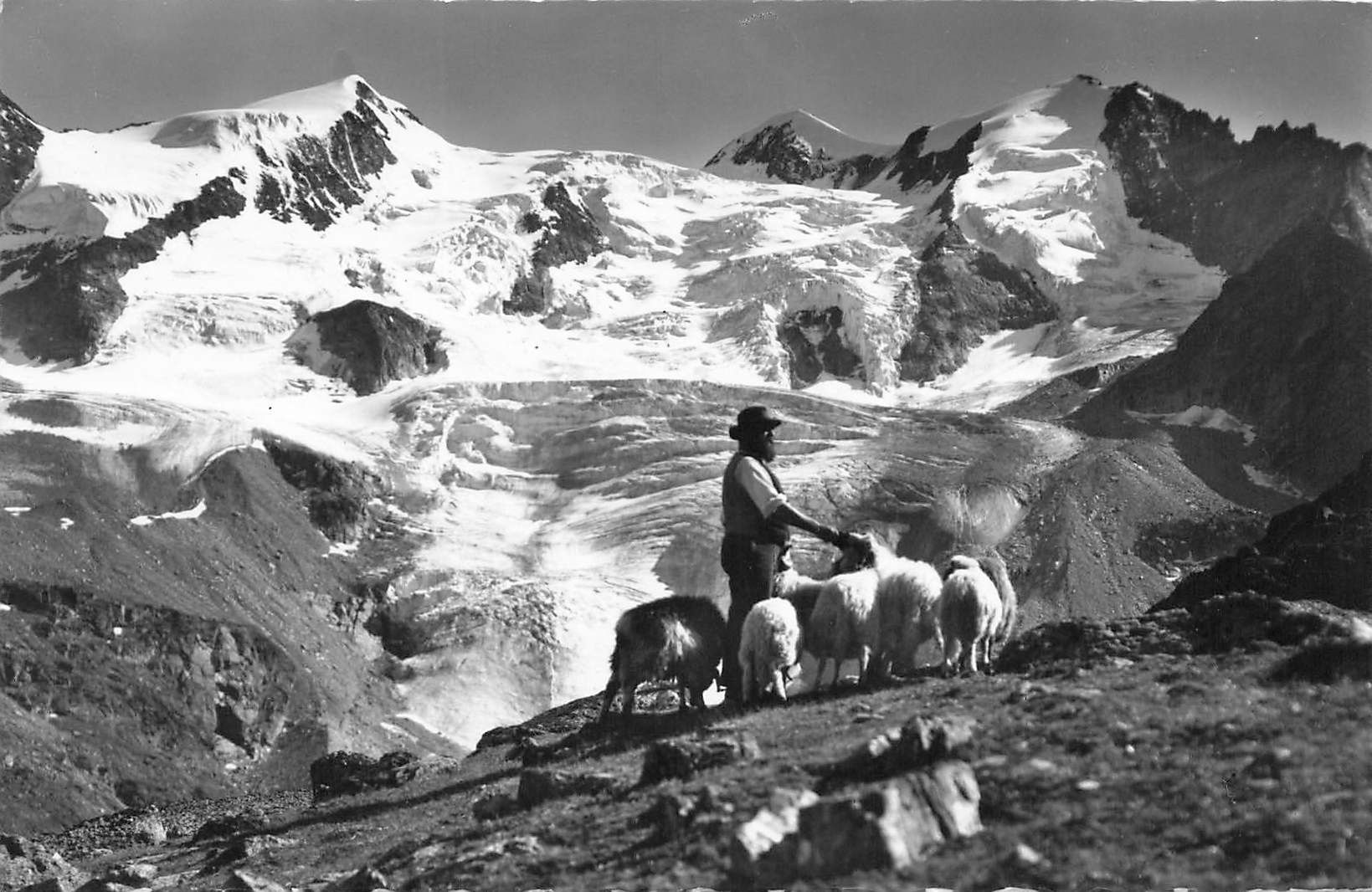 Cartoline postali: Schafhirt bei Grächen – Usato da Biasca venduto da Blenio71