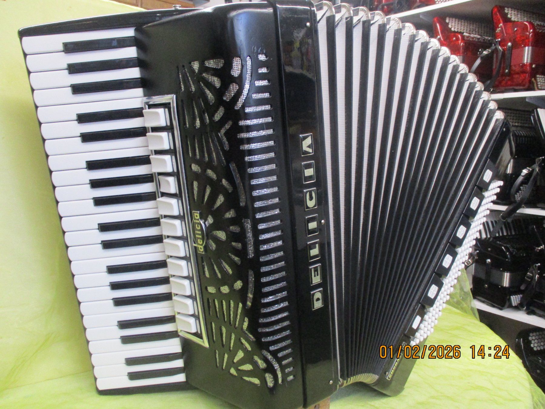 Strumenti musicali: Akkordeon Delicia Cassotto – Usato da Jegenstorf venduto da Oktavio 2