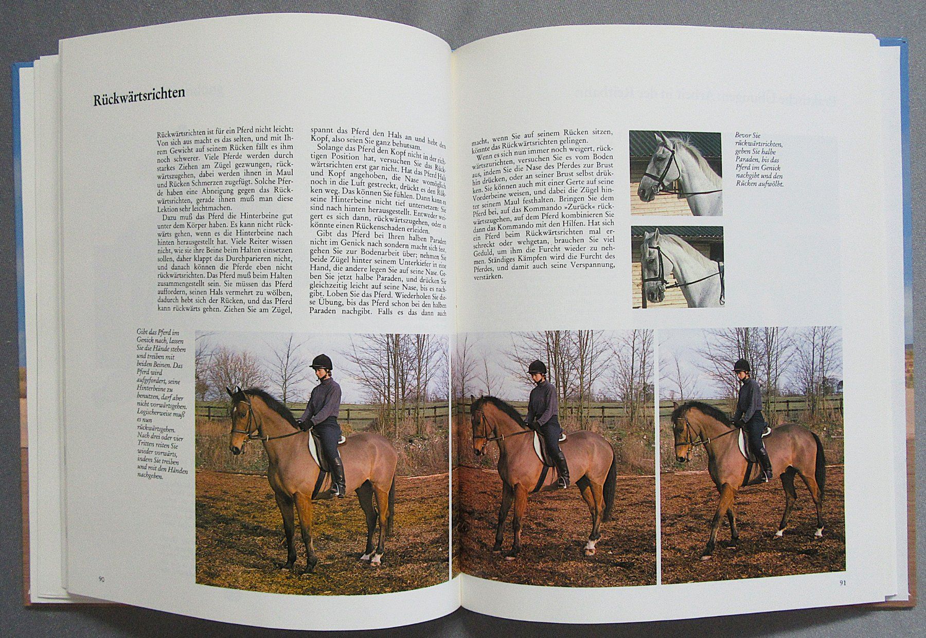 Libri: Reiten - perfekt gelernt - moderne Reitlehre – Usato da Auenstein venduto da Padabimbim 5
