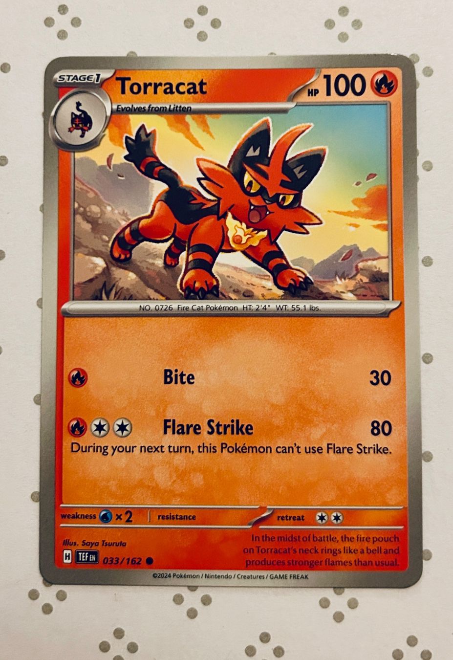 Pokémon Carte collezionabili: Pokémon, Katzen & Mäuse Bundle | 6 Karten | Gratisversand – Nuovo (secondo la descrizione) da Gelterkinden venduto da pikapikachu 6