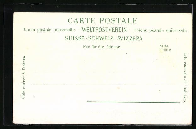 Cartes postales: Brüllisau, Totalansicht mit Hohen Kaste – D'occasion à Berlin par bartko-reher 1