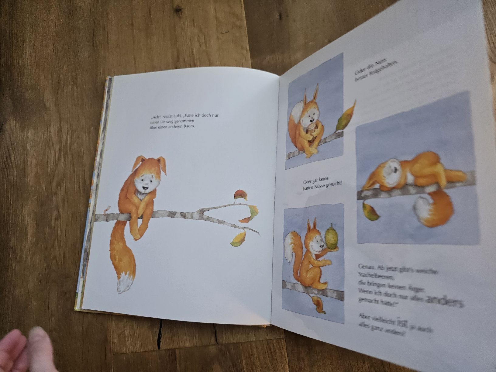 Libri: Kinderbuch "Probier's mal mit Entschuldigung!" neuwertig – Usato da Wittenbach venduto da Tigerlili 6