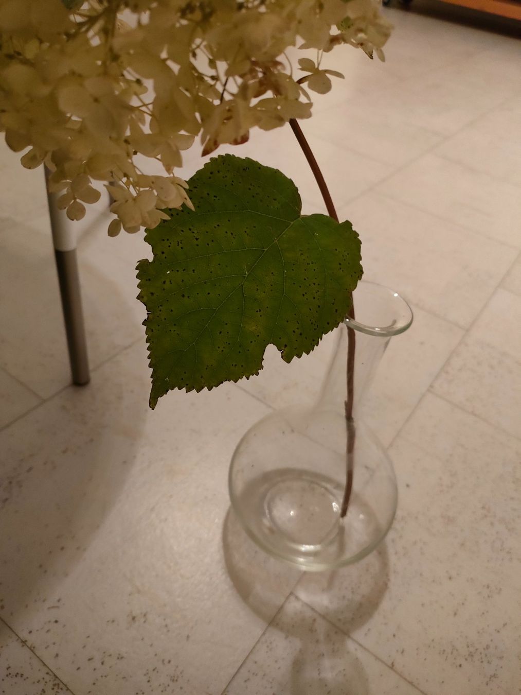 Glasi Hergiswil Vasi & Recipienti: Hergiswiler Vase alt – Usato da Brugg AG venduto da Mashaba 3