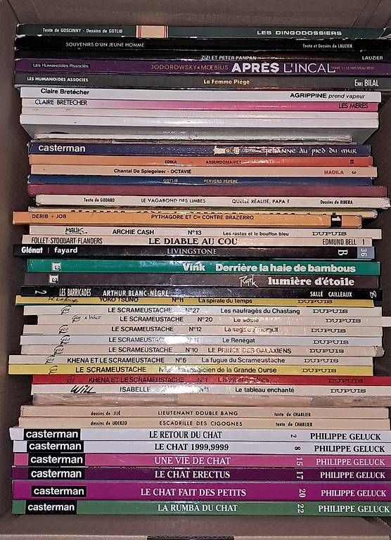 BD: lot de BD – D'occasion à Froideville par super_tramp