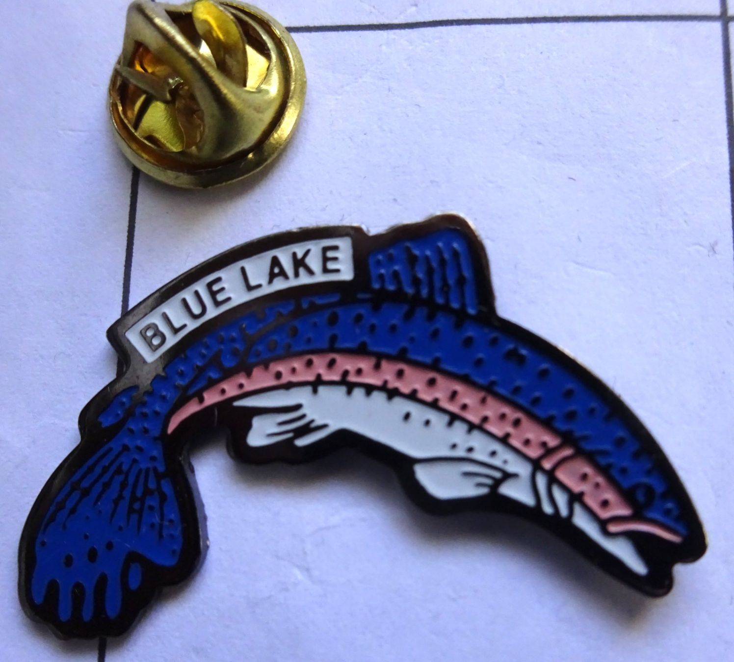 Plaketten & Abzeichen: Pin Fisch FORELLE  Blausee – Gebraucht aus Utzenstorf von BUtter81