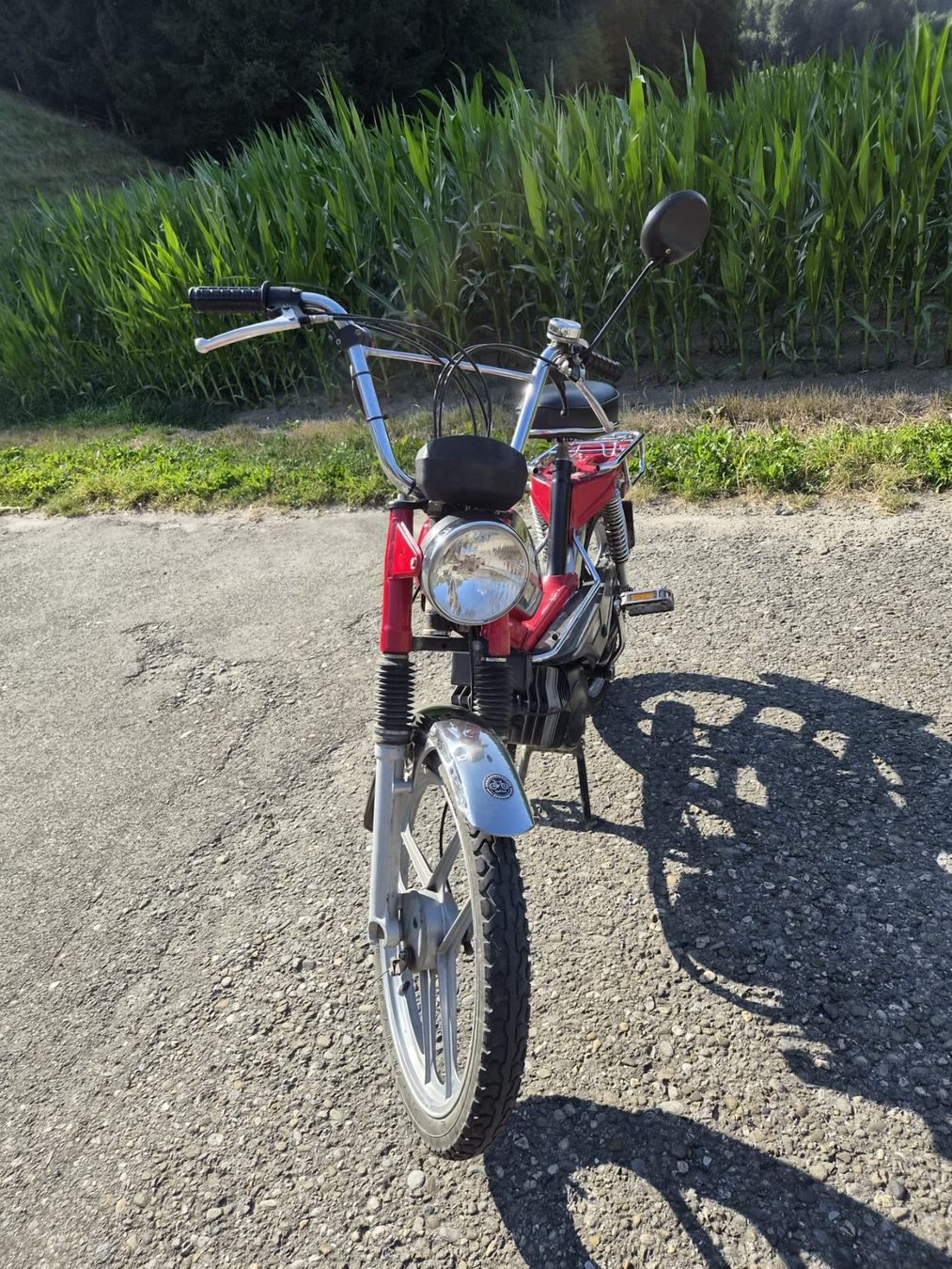 Pony Mofas: Pony 503 GTX Kat – Gebraucht aus Riedtwil von molerie 3