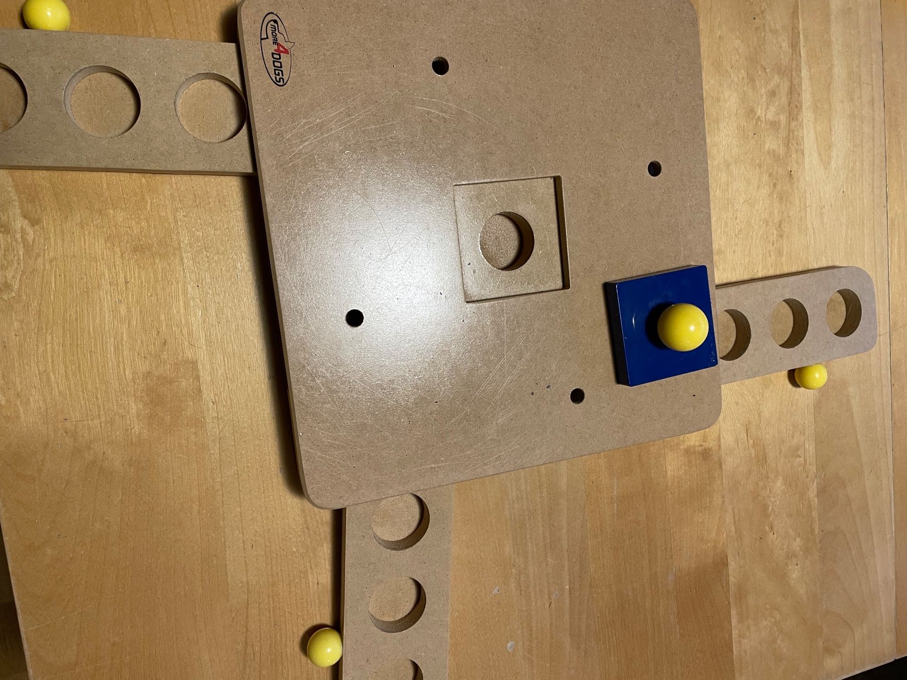 Giochi: Hunde Intelligenzspiel – Usato da Zofingen venduto da Hathoway 1