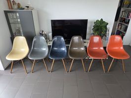 Eames Herman Miller Vitra Side Chairs, Vintage, 6 Stk.