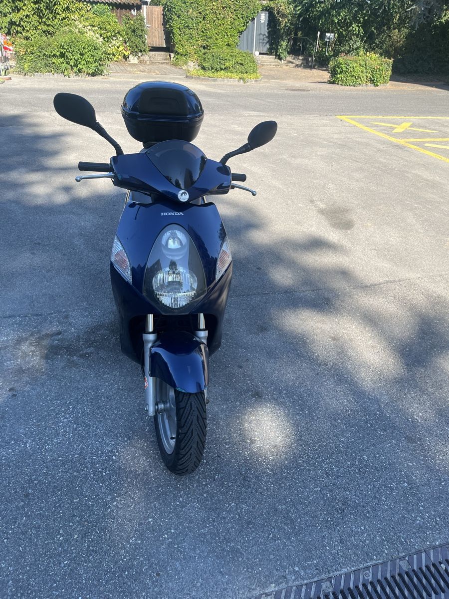 Honda Scooters: Honda NES125 – Gebraucht aus Hinterkappelen von mar_2qtd 2