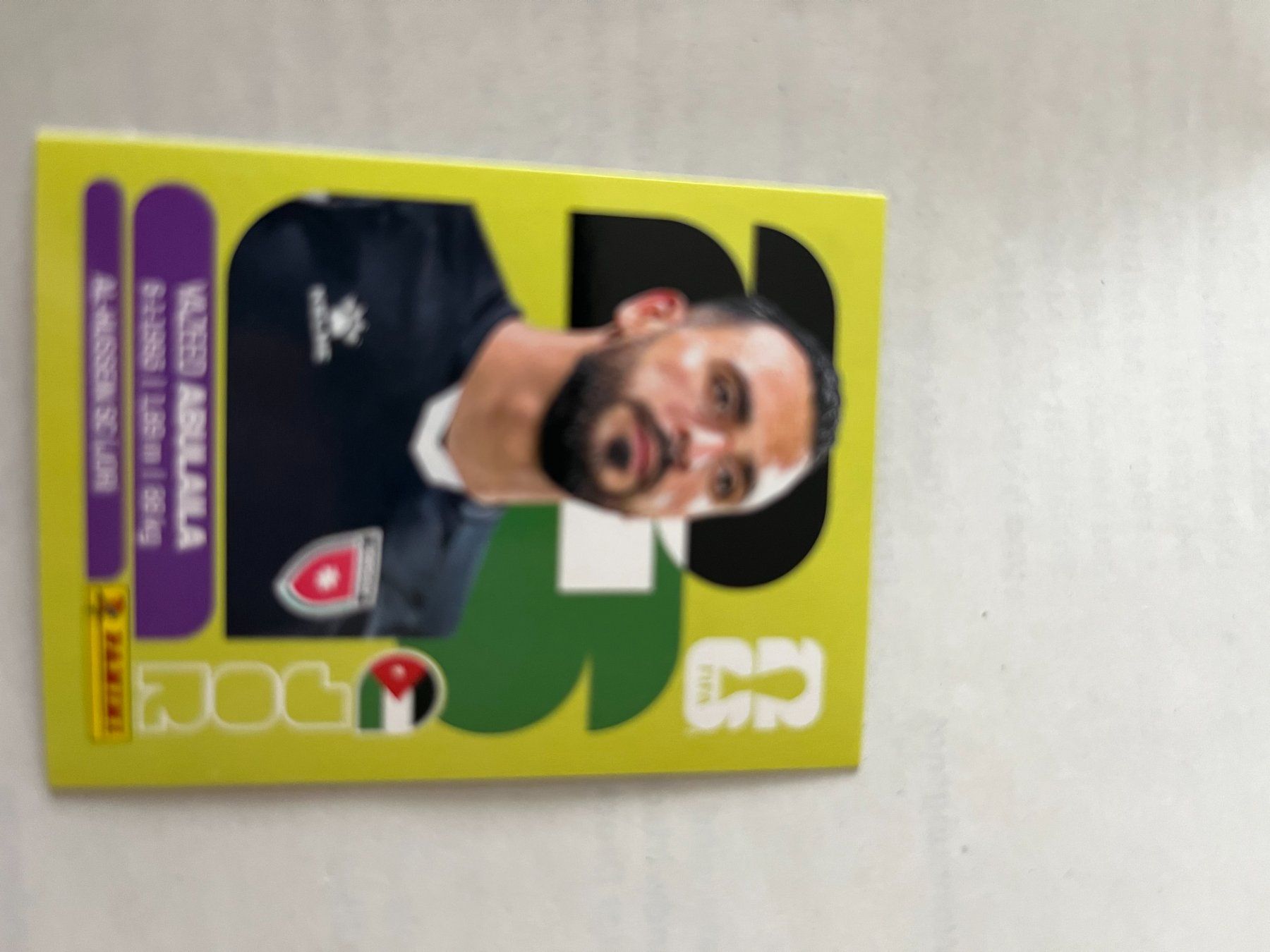 Panini Carte collezionabili: Panini World Cup 2026 – Usato da Winterthur venduto da fla_hwg8