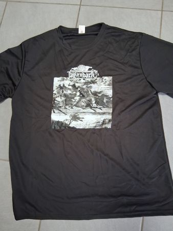 ts falkenbach (metal)