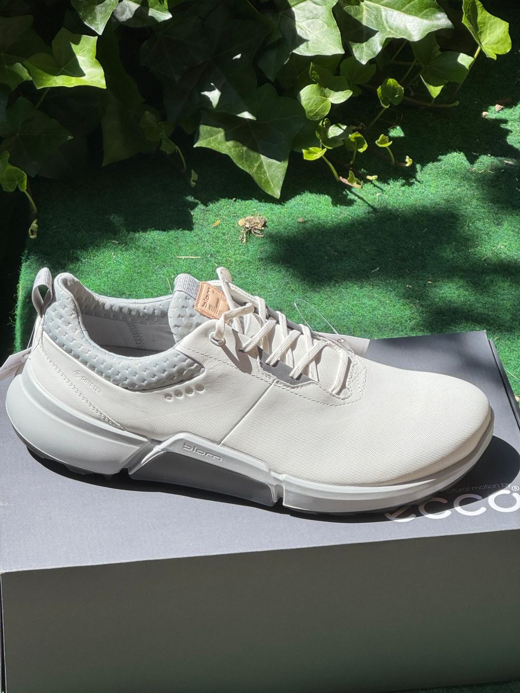 Ecco Herrenschuhe: ECCO M Golf Biom H4 | diverse Grössen – Neu und originalverpackt aus Breil/Brigels von reni17