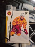 Oskars Lapinskis SCL Tigers Sportzoo 2024/25