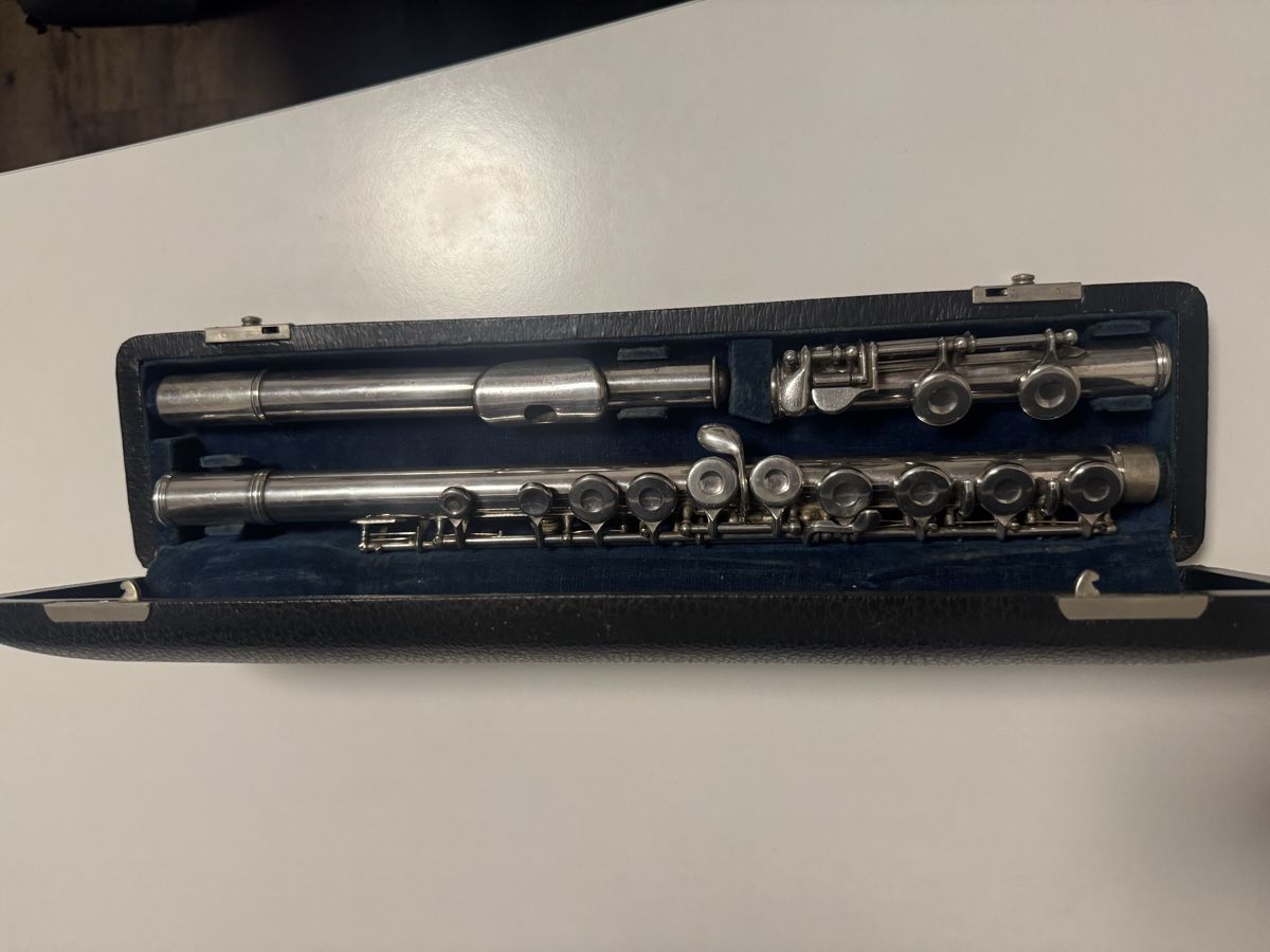 Strumenti musicali: Bouqet Querflöte (gebraucht) – Usato da Hochdorf venduto da fla_hl9g