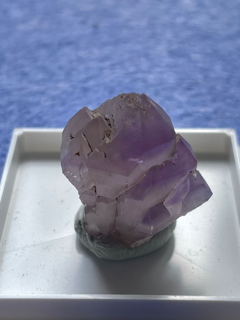 Minerali & Pietre curative: Amethyst Binntal CH – Nuovo (secondo la descrizione) da Winkel venduto da cma_df88 3