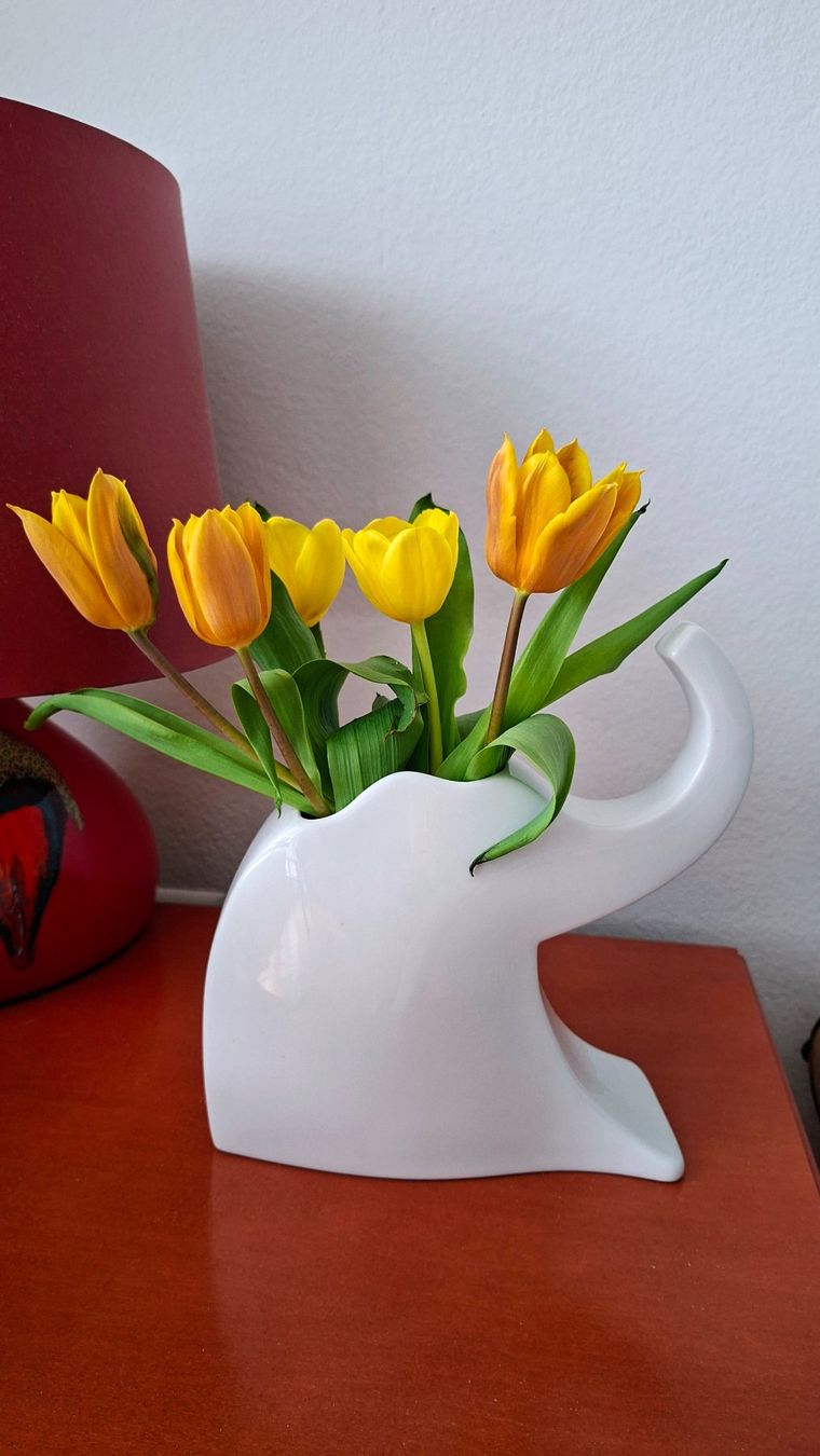 Rosenthal Vasi & Recipienti: Rosenthal Elefant Vase – Usato da Luzern venduto da alpler1
