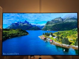 TV OLED LG 65 Inches - with BOX and calibrated - TOP Zustand
