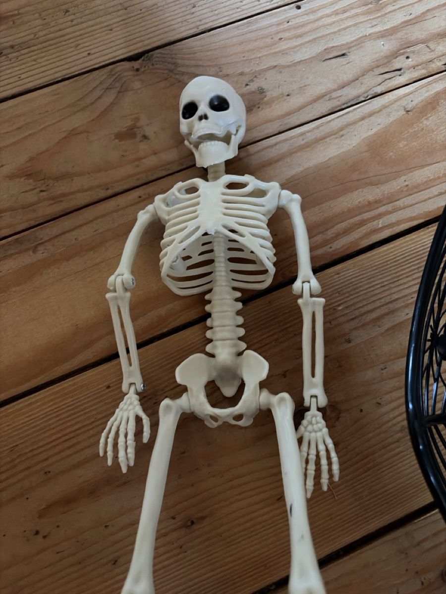 Tutte le decorazioni: Cooles Halloween Set – Nuovo (secondo la descrizione) da Oberentfelden venduto da Elifant 1