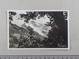 Die Jungfrau