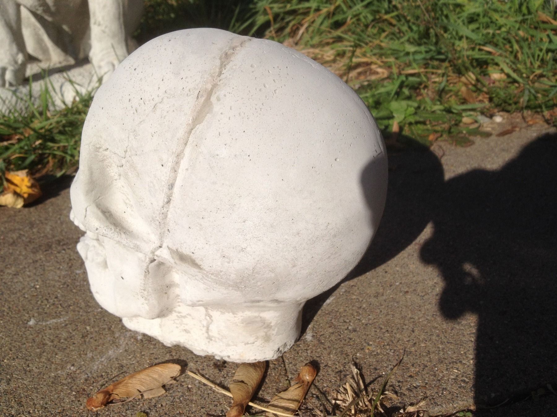 Statuette: totenkopf skull schädel – Usato da Reinach AG venduto da rares75 1