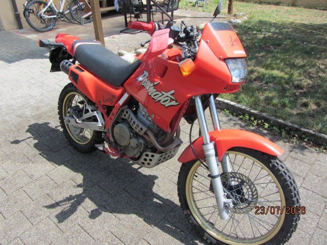 Honda Enduro: Honda Dominator NX 650 – Usato da schönenwerd venduto da kusi027 2