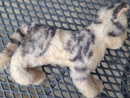 Katze Tabby von Steiff antik 1950er