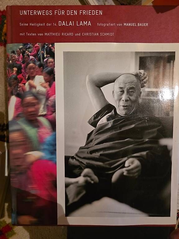 Libri: Dalai Lama  – Usato da Lugano venduto da big_t6x6