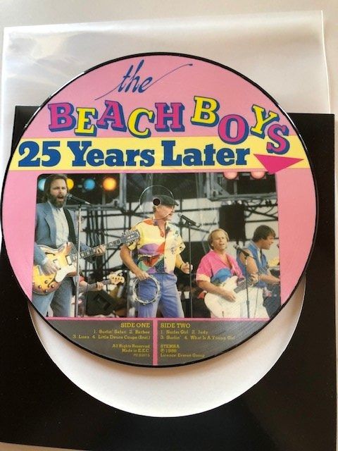 Dischi in vinile: Beach Boys – Usato da Aarwangen venduto da Jukebox3 2