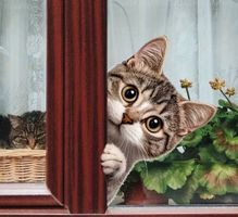 Realistische Katze am Fenster – Aufkleber Sticker