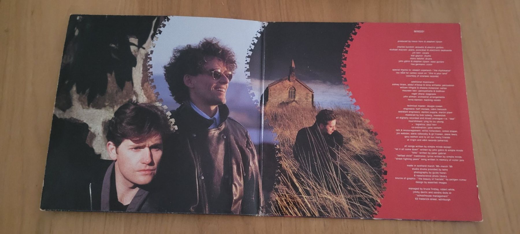 Dischi in vinile: LP Simple Minds – Usato da Martigny venduto da MZ-67 1