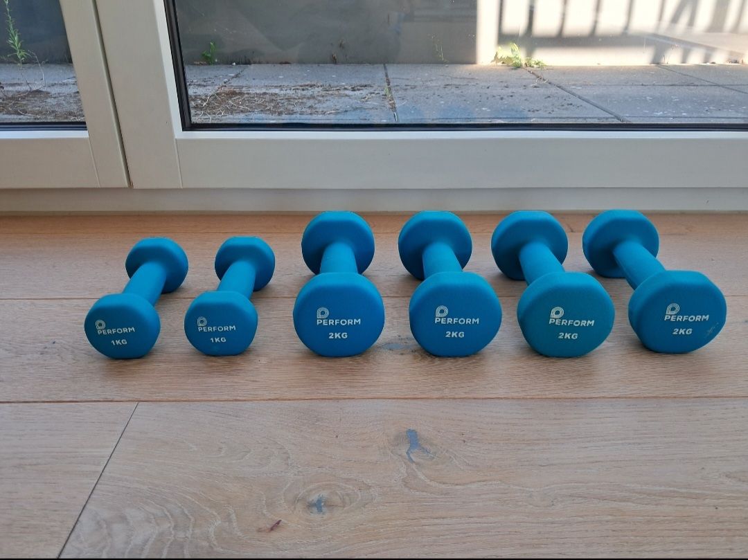 Manubri & Pesi: Kurzhanteln 1kg/2kg – Usato da Ostermundigen venduto da deb_q67c
