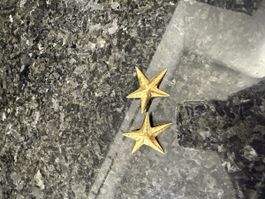 *NEU* Golden Starfish Stud Earrings