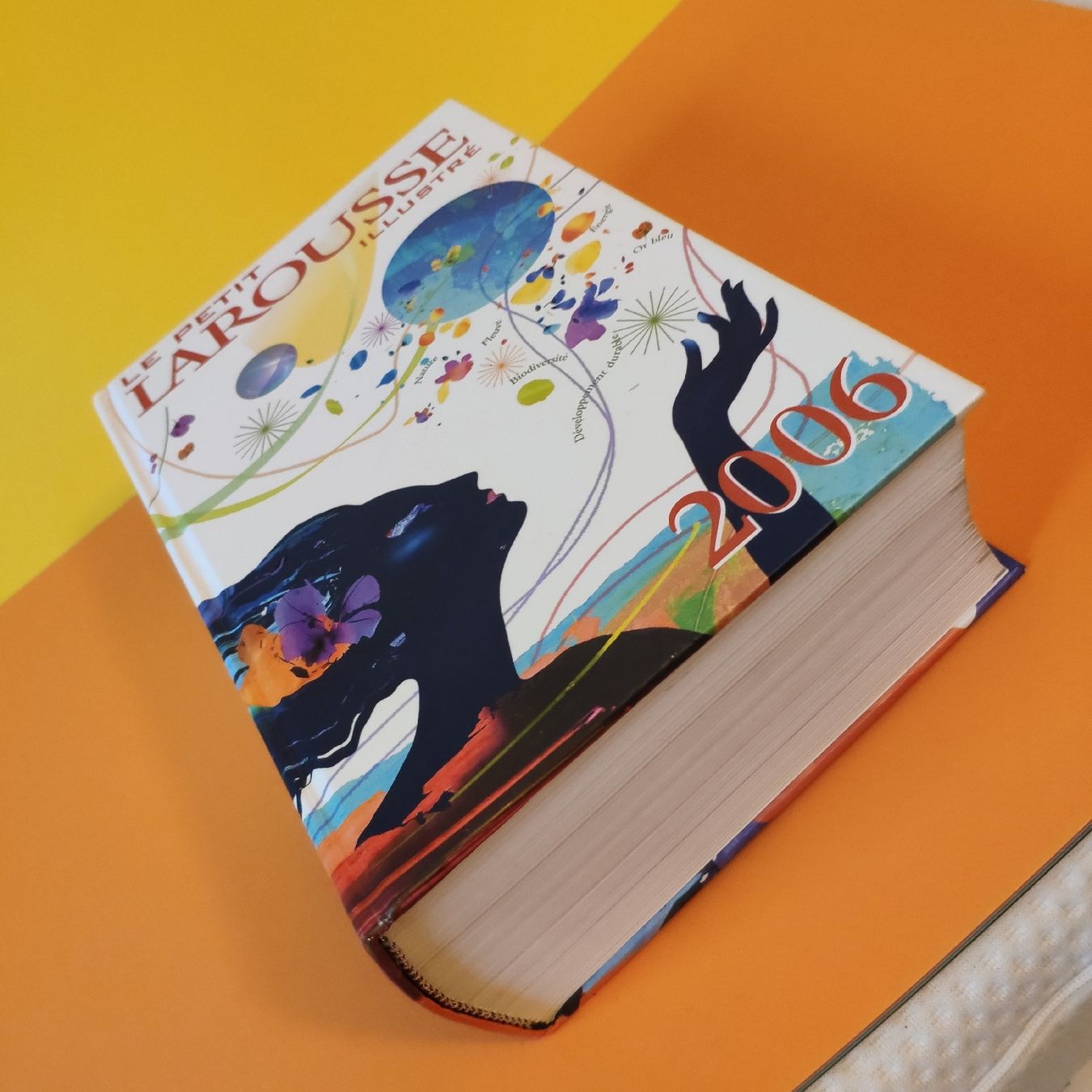 Bücher: Le petit Larousse illustré 2006 , 1855 pages – Neu (gemäss Beschreibung) aus Lausanne von Jdelta 1