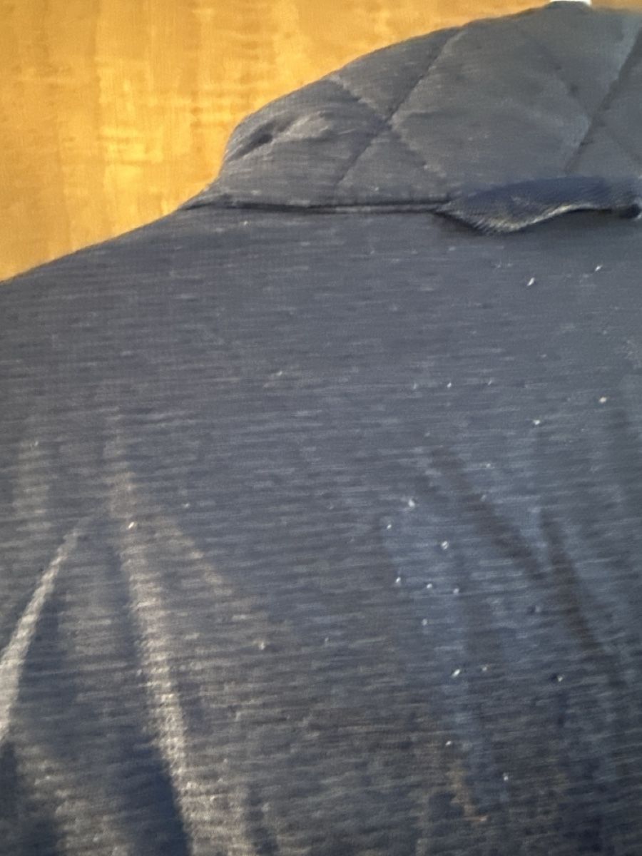 Jack Wolfskin Giacche: Jack Wolfskin Steppjacke, Grösse XL, blaugrau – Usato da Reinach BL venduto da wen_7bl7 3