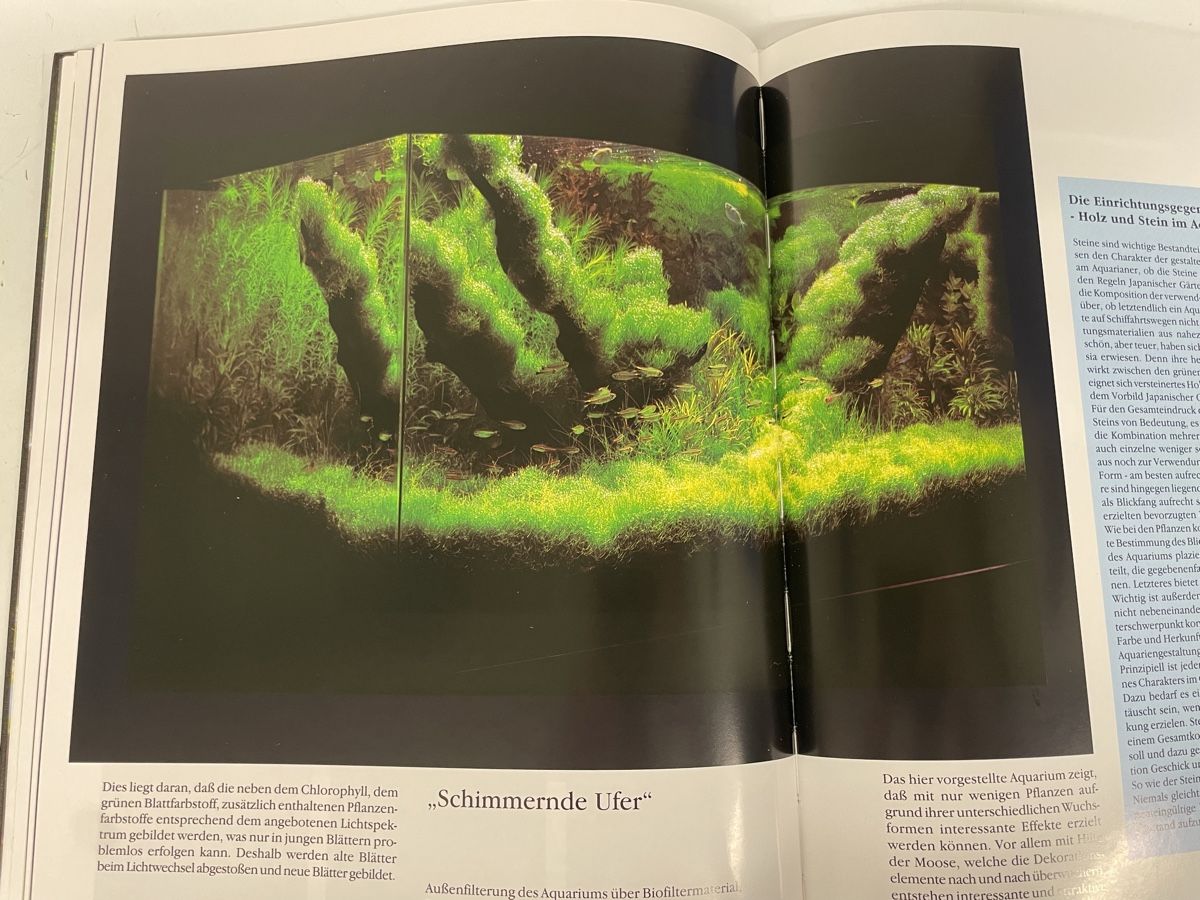 Libri: NEU Buch Amano aqua scape – Nuovo e nell'imballaggio originale da Nidau venduto da Beritundpan 4