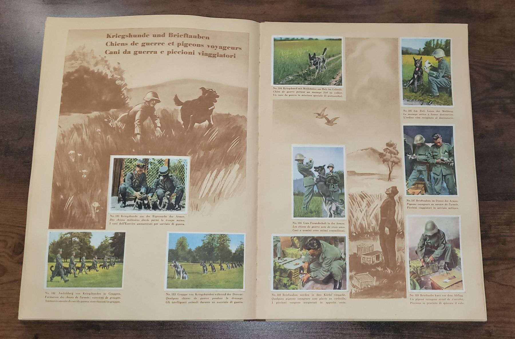 Album: Sammelbilder " Unsere Armee" Disch COMPLETO – Usato da Lugano venduto da Collezionismo59 9