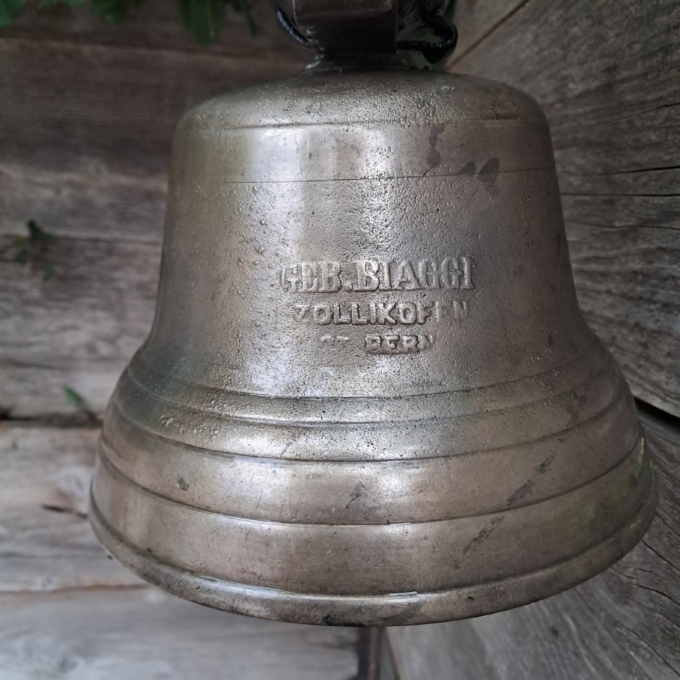 Campanacci mucche: ALTE/ANTIKE BIAGGI GLOCKE  – Usato da Murten venduto da SHETHOF 2