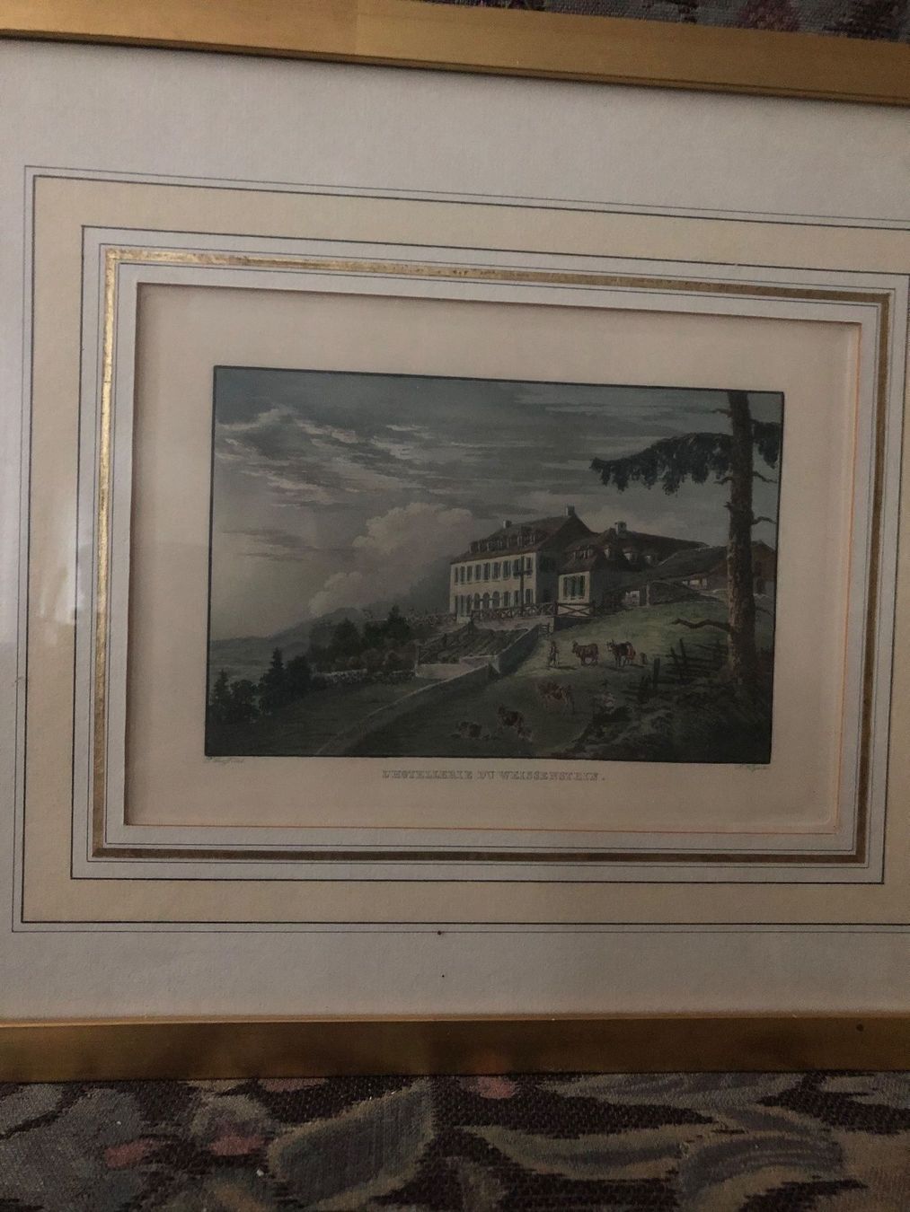 Foto & Immagini: L’HOTELLERIE DU WEISSENSTEIN – Usato da Wald ZH venduto da mlnt 1