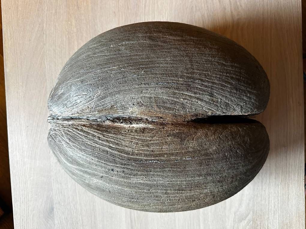 Alle Dekorationen: COCO DE MER – Gebraucht aus Aathal-Seegräben von rom_cg7q 2