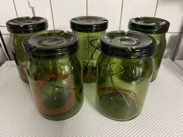 5 Bülach Weckgläser Einmachgläser Fermentiergläser Gläser