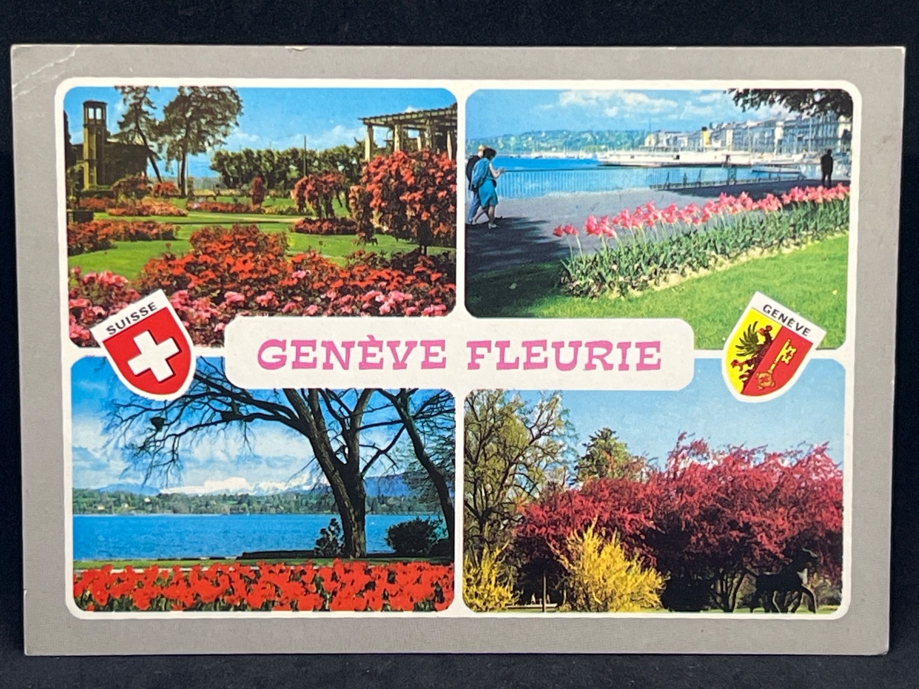 Cartoline postali: Genève fleurie – Usato da Widnau venduto da Brusi9