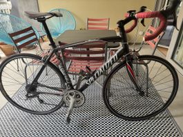 Specialized Allez (2008) Road Bike – Size L